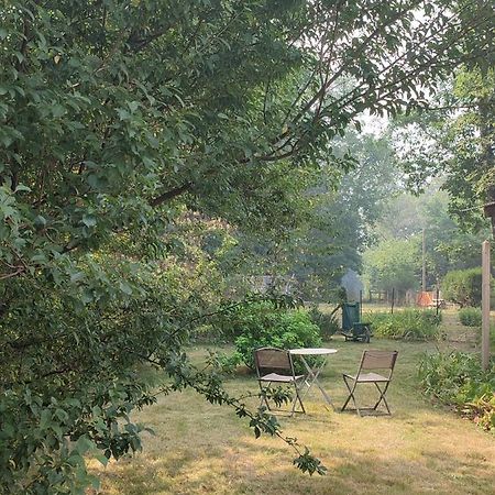 Chalet Dans La Foret....Adorable 1 Bedroom Chalet Surrounded By Woodland Pressignac Luaran gambar